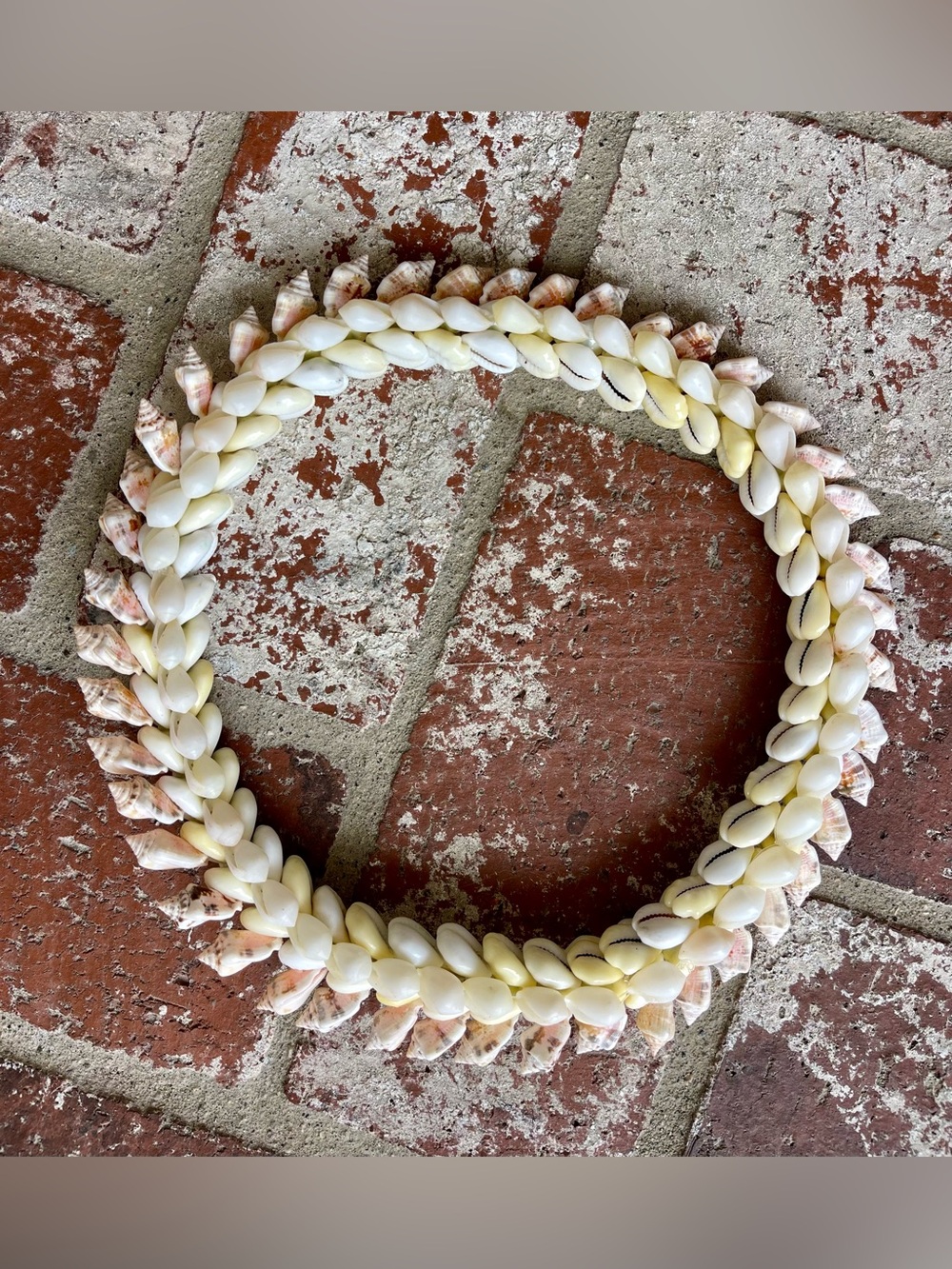 Hawaiian Shell head Lei Hat band Halo Crown Bubble Tahitian Cowrie